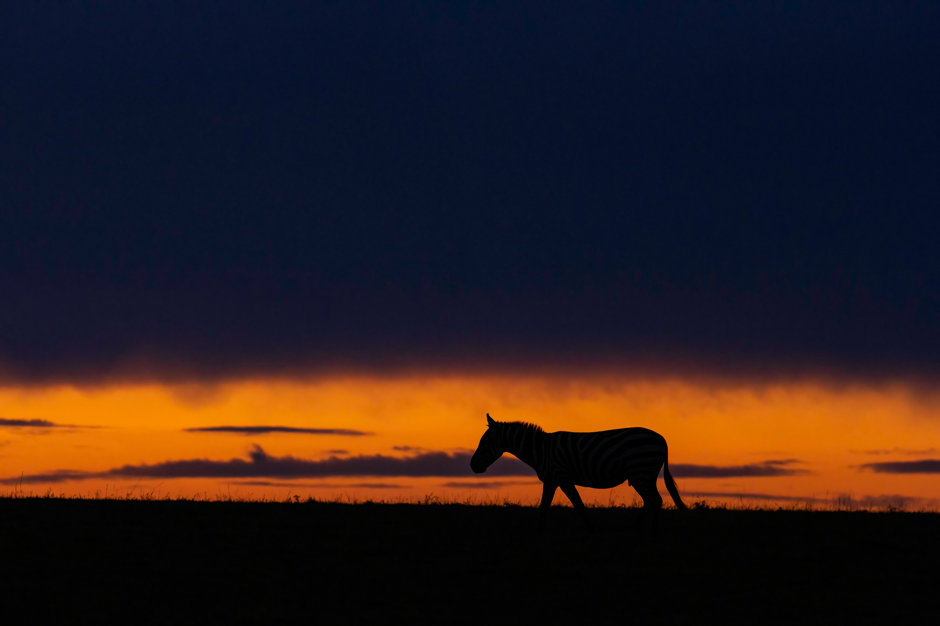 5-Day Tanzania Safari Camping & Lodge